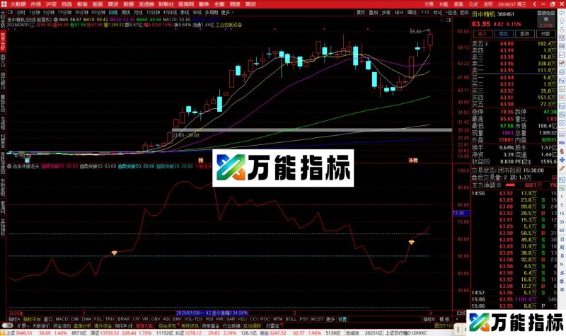 通达信合体共振龙头指标公式副图源码-万能指标公式