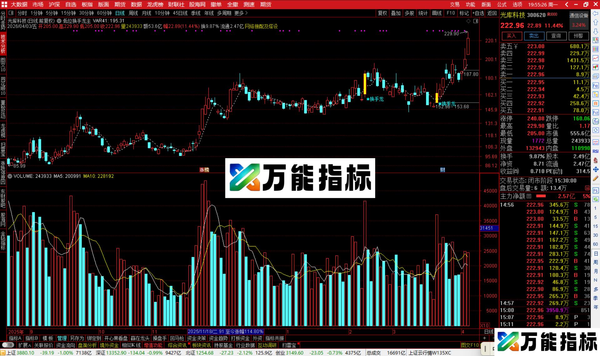 图片[1]-通达信低位换手龙主图指标公式主图源码-万能指标公式