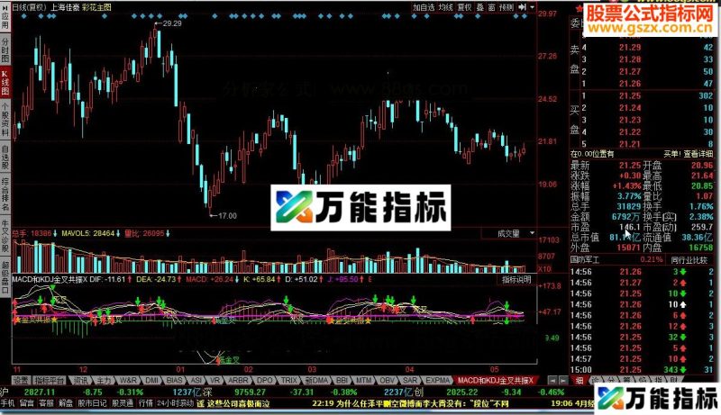 MACD和KDJ金叉共振X EA-万能指标公式