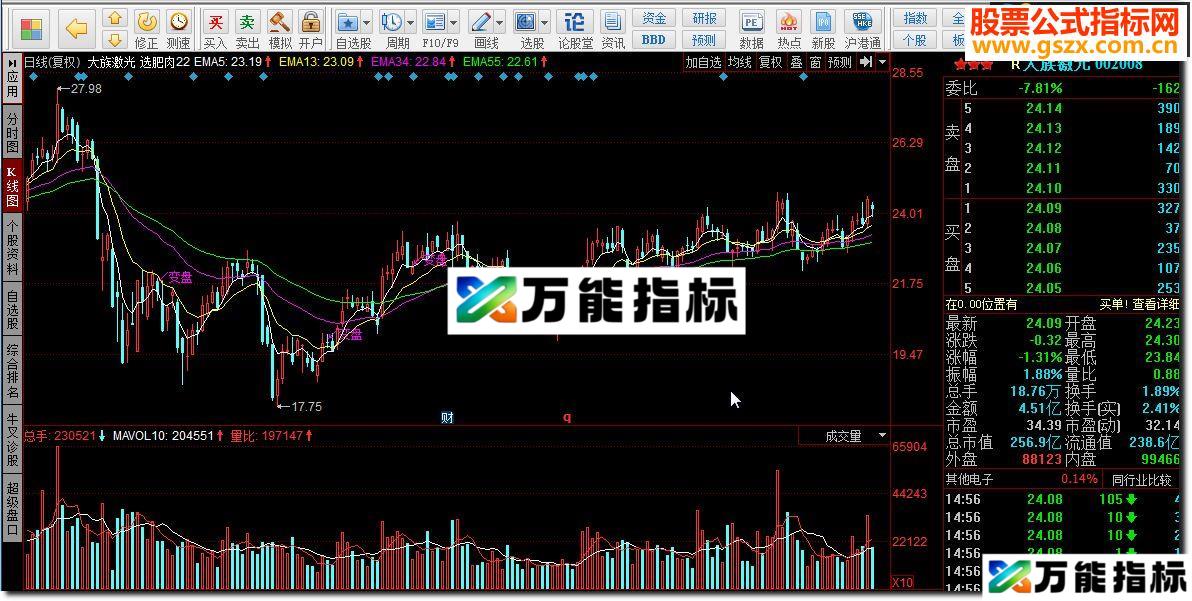 同花顺选肥肉指标公式
