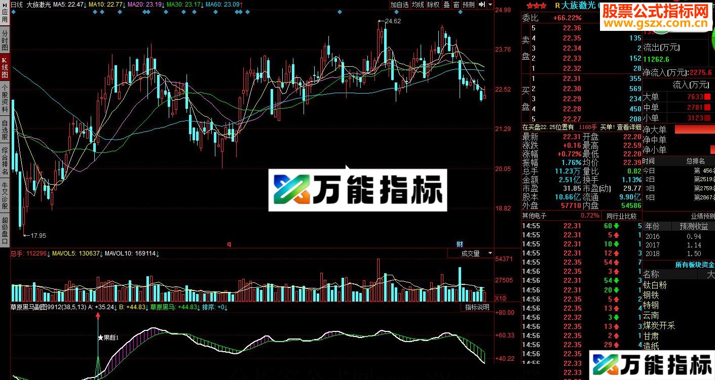同花顺草原黑马副图源码