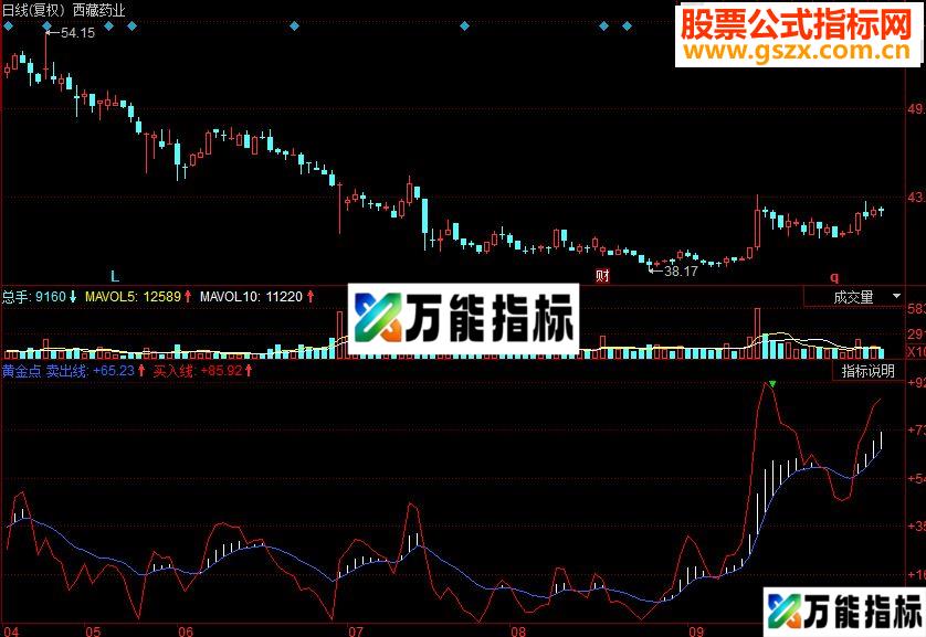 同花顺黄金点副图源码