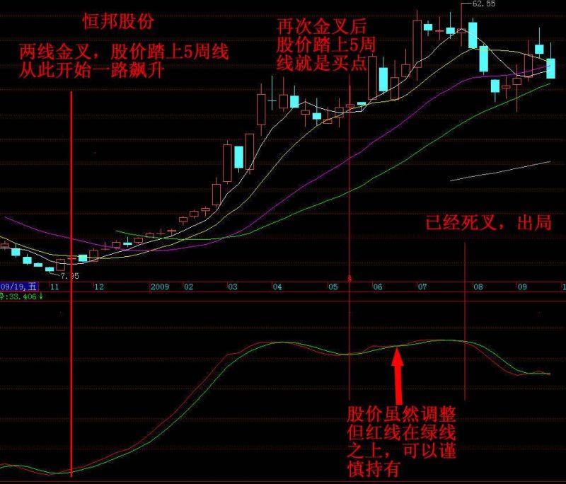 “专捕主升浪”的指标 EA-万能指标公式