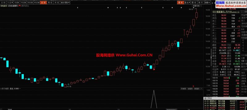 大黑马优化飞狐版指标 选股 完全加密 EA-万能指标公式