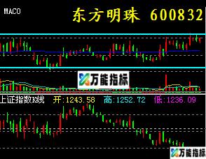 大智慧基础位移(主力最大盈利)在实战中分析 应用指标 源码 贴图)