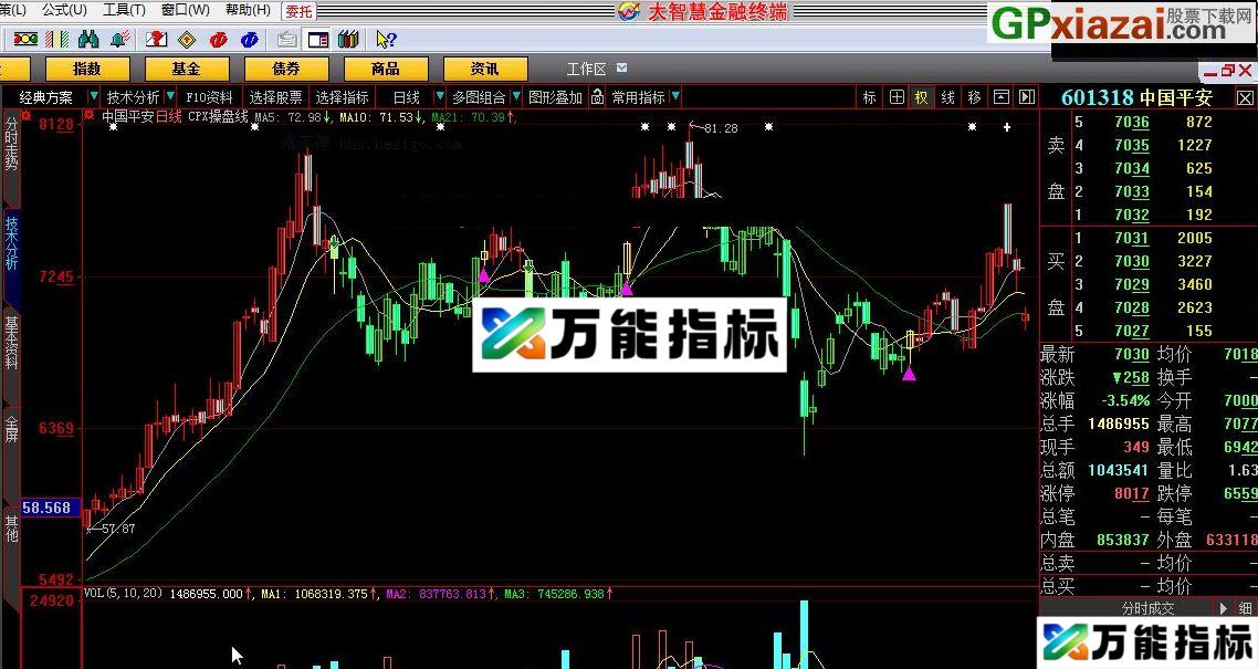 CPX操盘线 大智慧指标 贴图