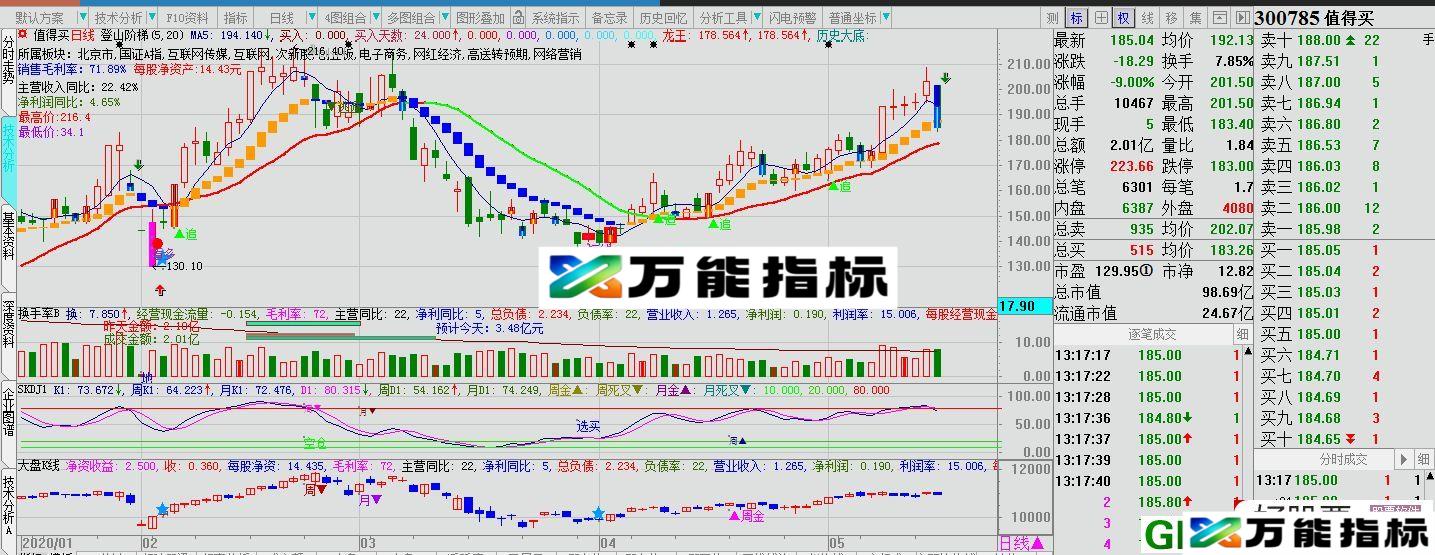 登山阶梯 大智慧主图指标 贴图