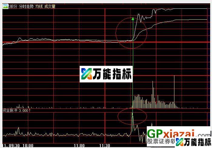 一个分时指标资金脉冲源码 EA-万能指标公式