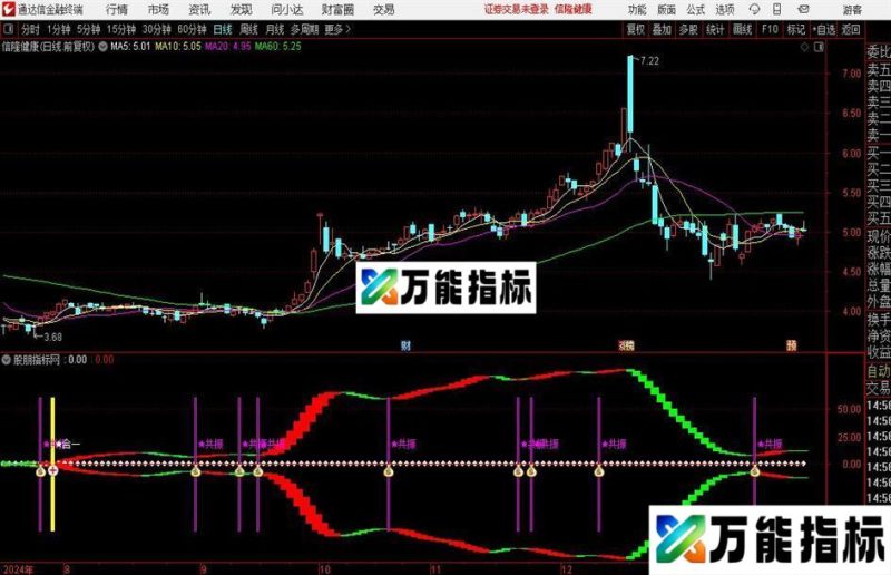 通达信双龙齐飞指标公式 EA-万能指标公式