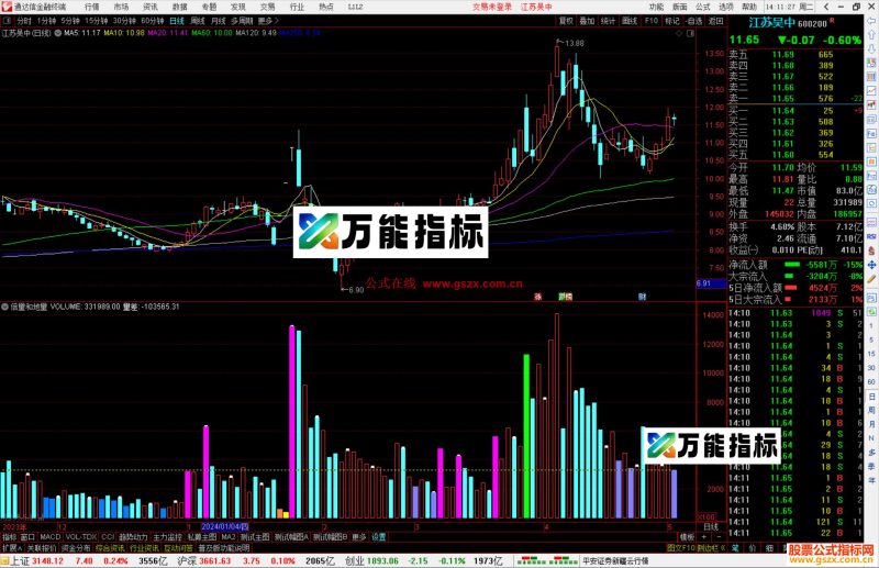 通达信倍量和地量副图指标公式源码-万能指标公式