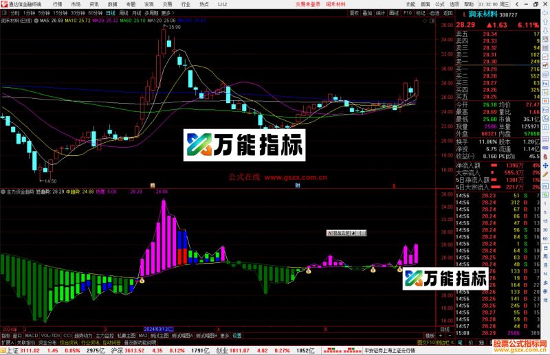 通达信主力资金趋势指标公式源码副图-万能指标公式