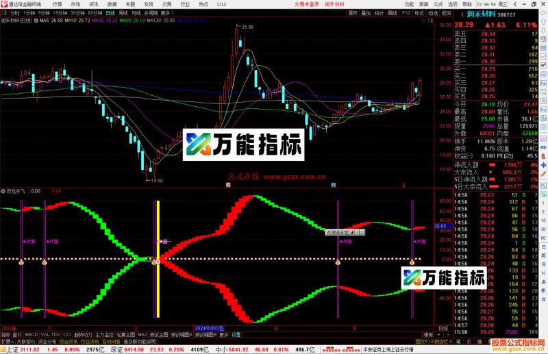 通达信双龙齐飞指标公式源码副图-万能指标公式