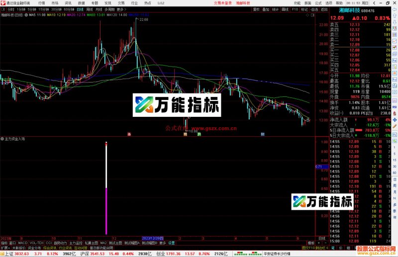 通达信主力资金入场指标公式源码副图-万能指标公式