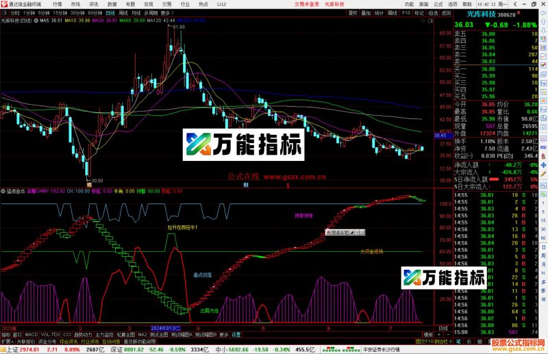 通达信猛虎追击副图,活筹势能源码副图-万能指标公式