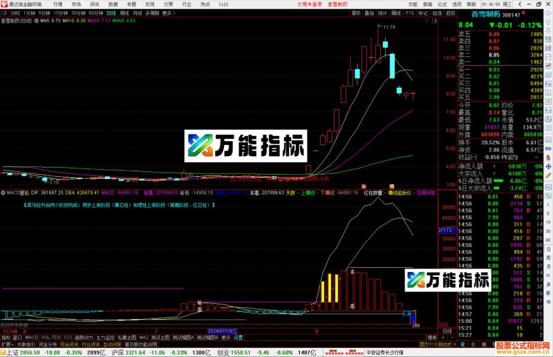 通达信MACD量能指标公式源码副图-万能指标公式