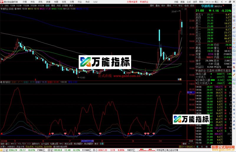 通达信黑马因子指标公式源码副图-万能指标公式