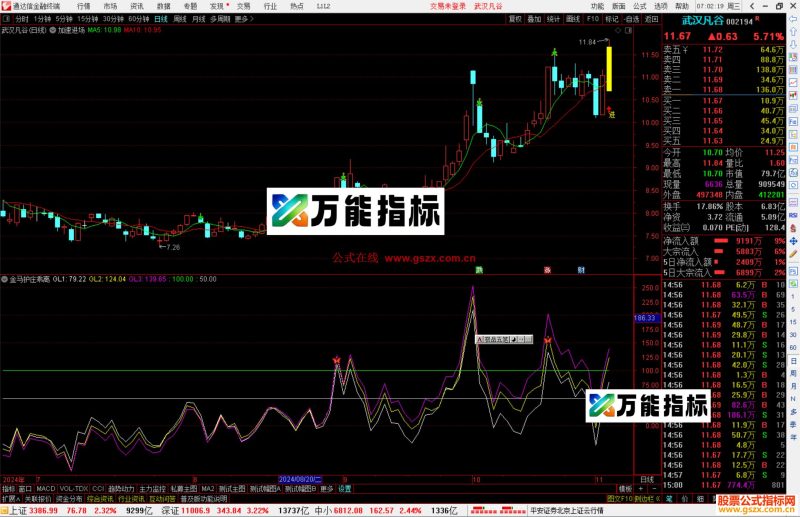 通达信金马护庄乖离副图源码分享源码指标公式-万能指标公式