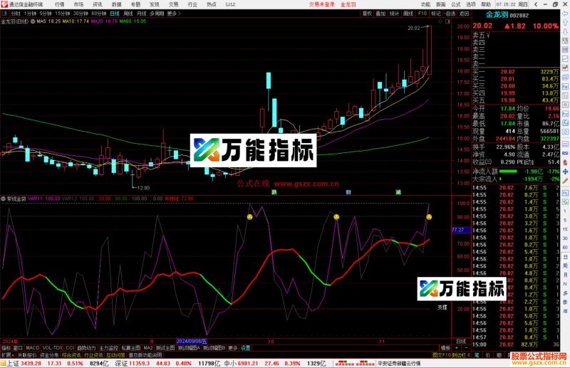 通达信紫线金袋指标公式源码副图-万能指标公式