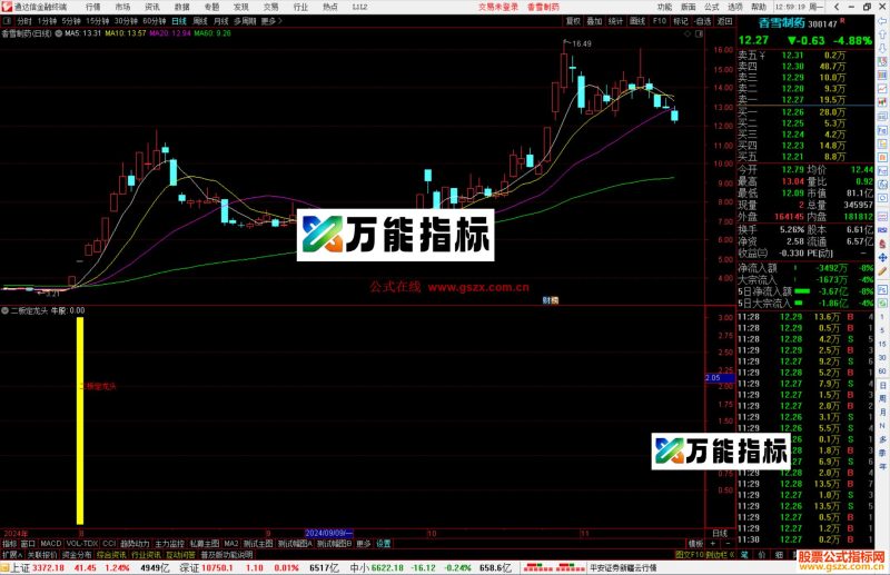 通达信二板定龙头指标公式源码副图-万能指标公式