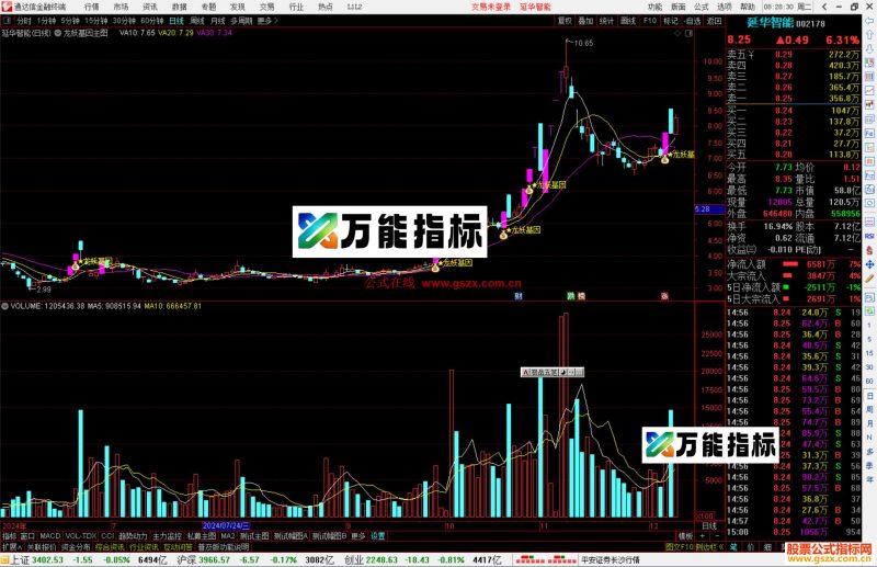 通达信龙妖基因主图指标公式-万能指标公式