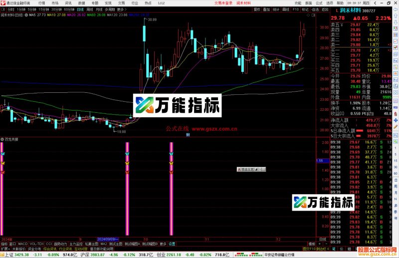 通达信双龙共振指标公式源码副图-万能指标公式