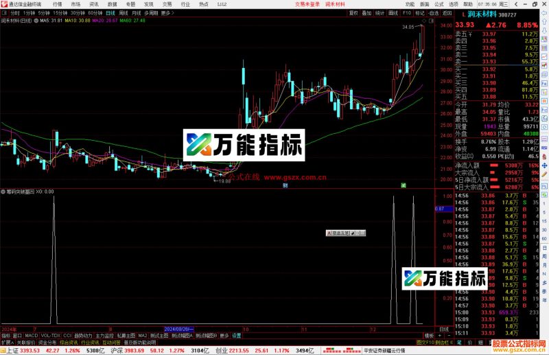 通达信神龙主力指标公式源码副图-万能指标公式