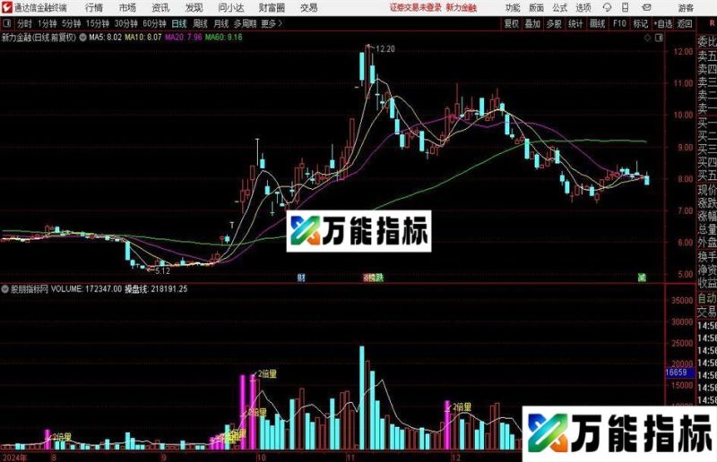 通达信倍量过前五指标公式 EA-万能指标公式