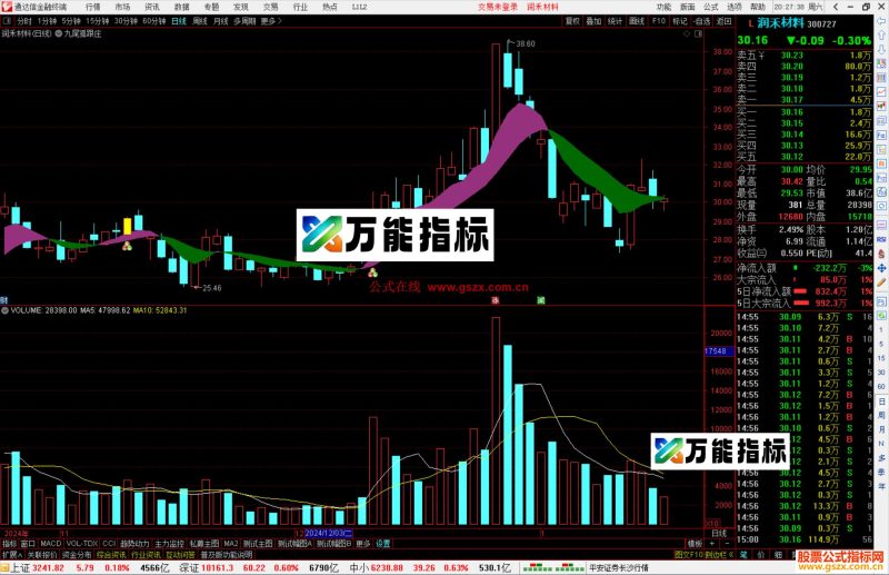 通达信九尾狐跟庄主图指标公式源码主图-万能指标公式