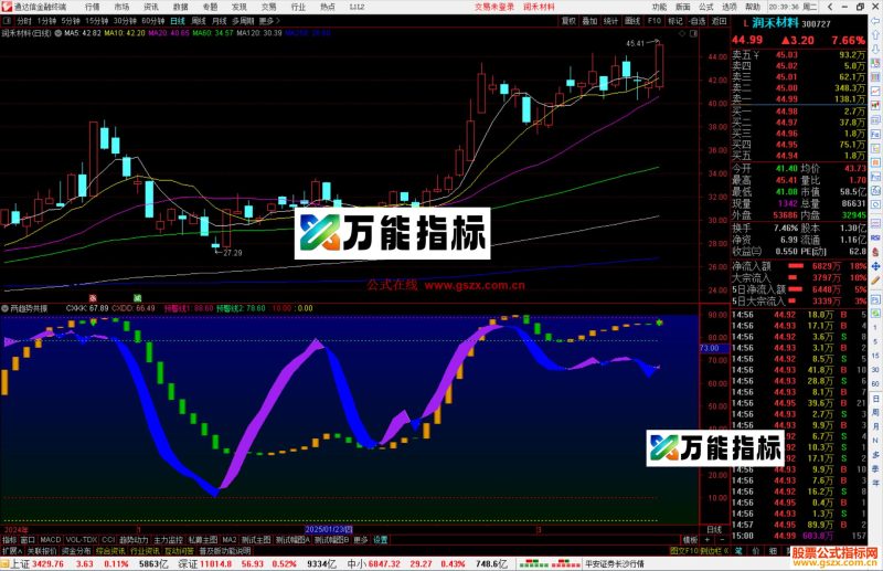 通达信两趋势共振指标公式源码副图-万能指标公式