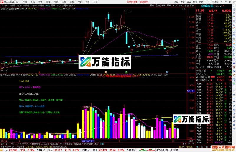 通达信主力成交量能指标公式源码副图-万能指标公式