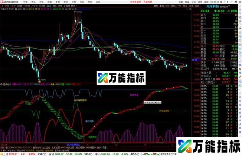 通达信猛虎追击副图,活筹势能源码副图 EA-万能指标公式