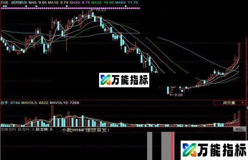 龙吟龙啸副图指标及选股 导入说明 EA-万能指标公式