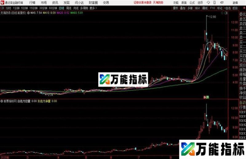 〖网络指标〗股票之友S理论修改优化集——纯量横向精化 EA-万能指标公式