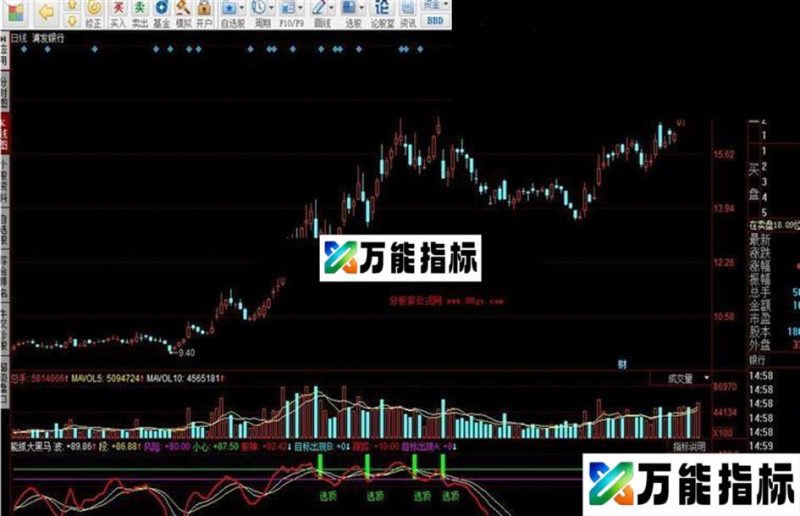 能抓大黑马 EA-万能指标公式