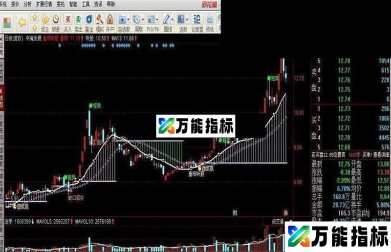 黑马全息指标公式 EA-万能指标公式