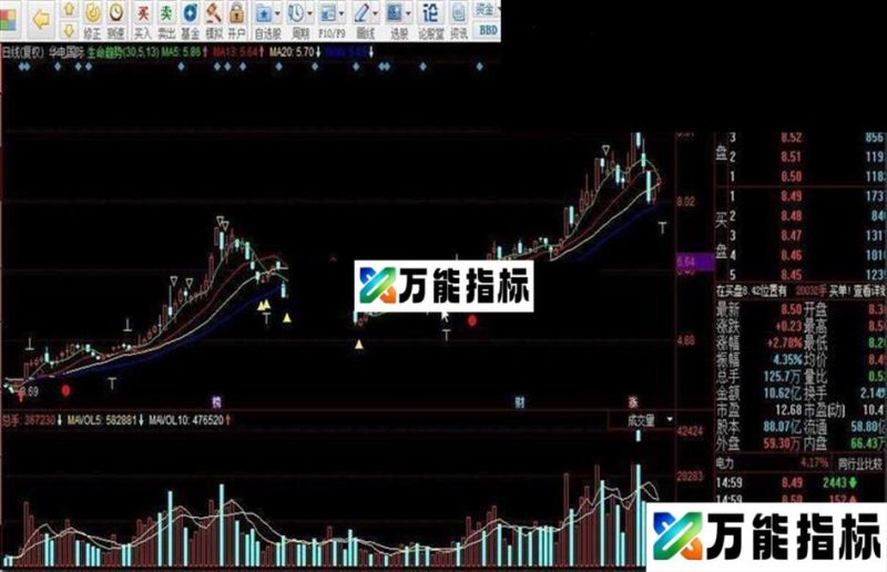 生命趋势 高抛低吸/抄底逃顶/仓位控制 EA-万能指标公式