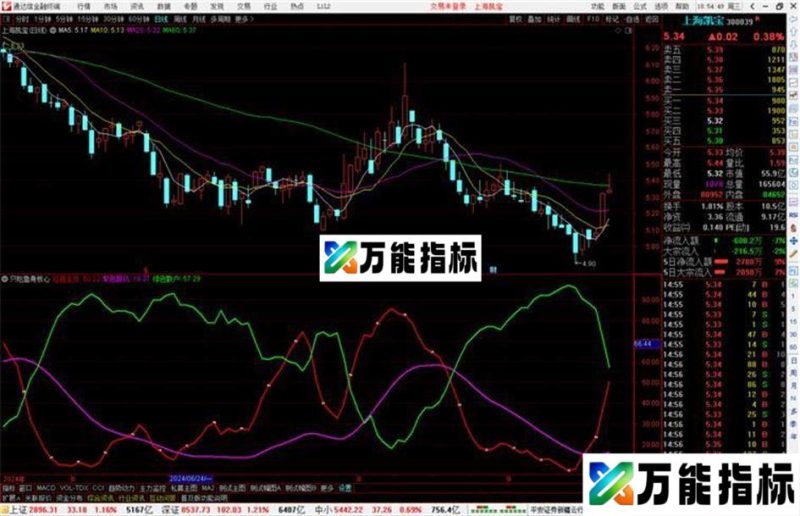 通达信只吃鱼身核心指标公式源码副图 EA-万能指标公式