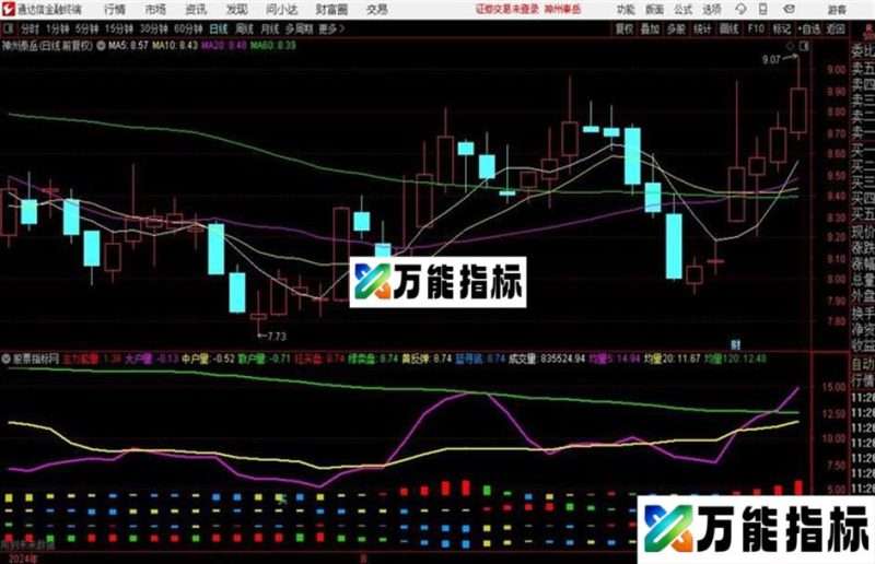 主力持仓量能指标通达信公式 副图 源码附图 EA-万能指标公式
