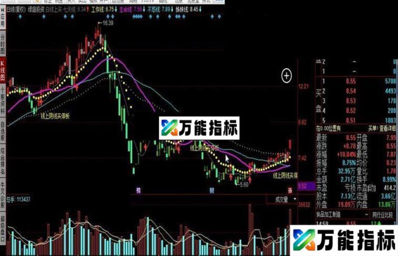 白线上方持有,红线为生命线 EA-万能指标公式