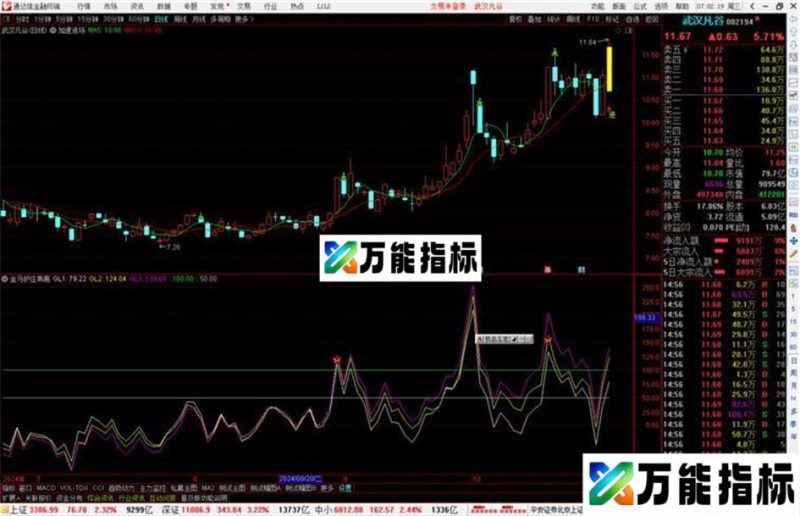 通达信金马护庄乖离副图源码分享源码指标公式 EA-万能指标公式