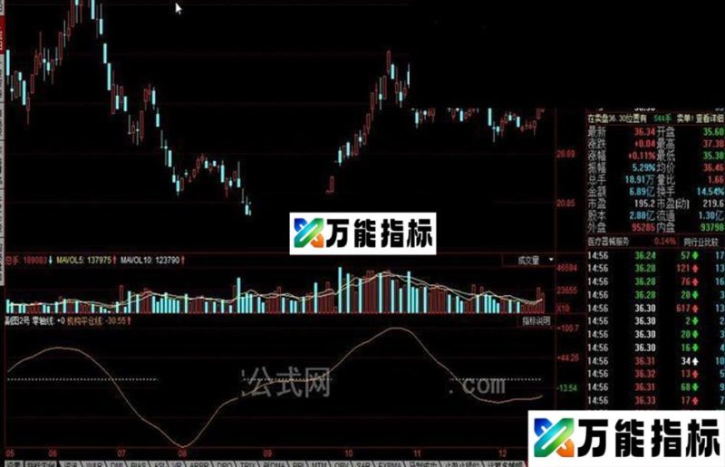 同花顺副图2号公式 主力进出A和庄共舞 EA-万能指标公式