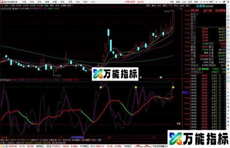 通达信紫线金袋指标公式源码副图 EA-万能指标公式