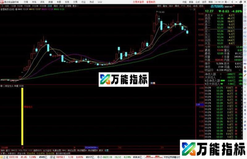 通达信二板定龙头指标公式源码副图 EA-万能指标公式